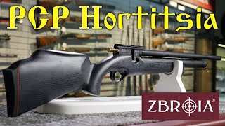 Hortitsia PCP rifle by ZBROIA - new Ukrainian classics.