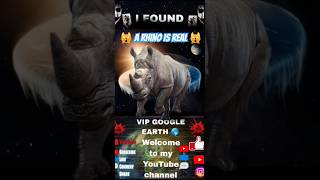 A Rhino is real 🙀 on google earth and google maps #shorts #maps #earth #google