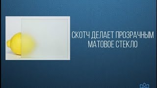 ФАКТЫ ДНЯ. Интересная информация для Вашего ума (Часть 38)