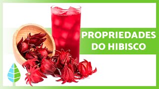 9 BENEFÍCIOS do HIBISCO 🌺✅ (Propriedades medicinais, para que serve e como tomar)