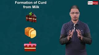 9. Formation of Curd | Class 8 | Chapter 2