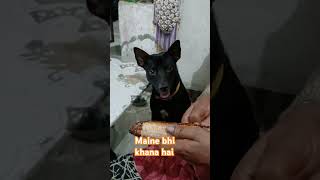 Mujhe Bhi bhuta khana hai #doglover #petlovers #petcare