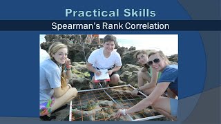 Spearman's Rank Correlation