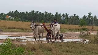 Returning after plow