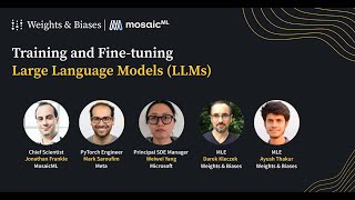 Training & Finetuning LLMs: Scaling Laws