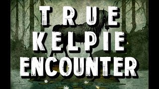 1 True Scary Kelpie Encounter