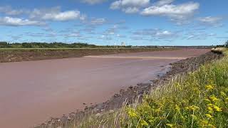 Tidal bore @ Riverview NB, Canada. September 11, 2021.