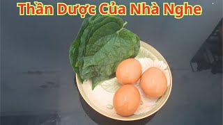 Trứng Gà Với Lá Lốt Kết Hợp Với Nhau. Giải Quyết Được Rắc Rối Của Nhiều Người Đang Mắc Phải Cực Hay