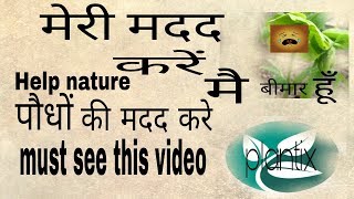 'how to do cure of fungus in plant' HELP PLANTS TO GROW WITH CURE OF FUNGUS 'plant fungus treatment'