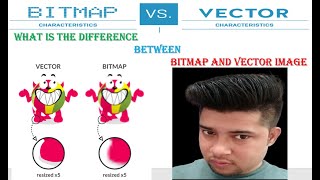 What is the difference between bitmap and vector image || BITMAP VS RASTER IMAGE