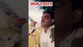 टमाटर की बारीश funny video Jagdish funny Store comedian Raj Soni winter channel Romeo Sena video