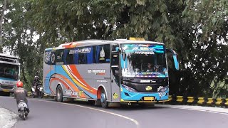 ARTIS BUS TELOLET YANG TERLUPAKAN