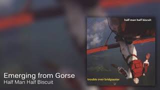 Half Man Half Biscuit - Emerging from Gorse [Official Audio]