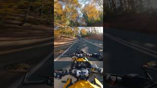 Full video on my channel #triumph #moto #ride #motorbikes