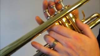 Learn to play D major scale on trumpet