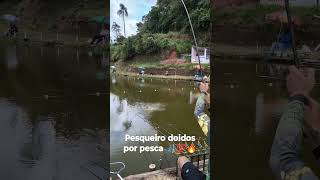 pescaria de tilápias na batida relo. pesqueiro doidos por pesca(.diaria,) #pesca #pesqueiro