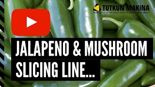 Jalapeno & mushroom slicing machine (video2)