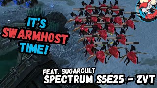 He just NEVER QUITS! feat. @sugarcultthe2nd - SPECTRUM S5E25 - StarCraft 2 - Mauzy