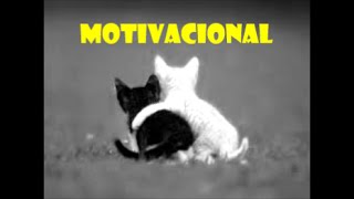 MOTIVAÇÃO PESSOAL VOCÊ NUNCA MAIS SERÁ O MESMO - MOTIVATION STAFF