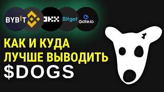 DOGS - как вывести на биржу? Награды от бирж и где взять КУС?