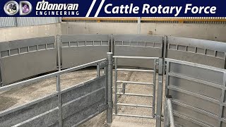 Cattle Rotary Force Handling Area By O'Donovan Engineering