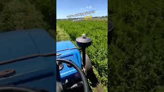 Чё то колесо не крутится😂😂😂#agriculture #farm #механизатор #сельскоехозяйство #трактор