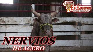 🐂NERVIOS DE ACERO🐂RANCHO LOS EXCLUSIVOS