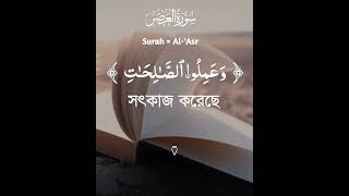 Beautiful calm peace Quran recitation. সুন্দর শান্তি শান্ত বাংলা অনুবাদ সহ কুরআন তেলাওয়াত। #quran