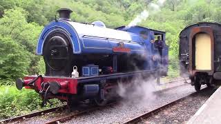 Gwili Railway 12th June 2024