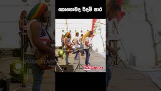 අදත් තිබ්බනම් සුපිරිම Band එකක් Seeduwa Thurya #tranding #nonstop