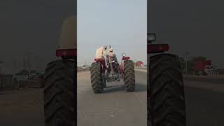 Massey Ferguson tractor 🚜 #ytshorts #massey385 #youtubeshorts #farming