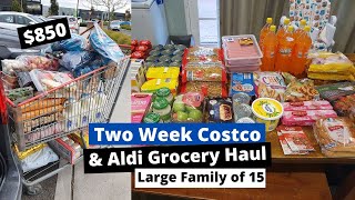 TWO WEEK COSTCO AND ALDI GROCERY HAUL | $850 |  Large Family of 15