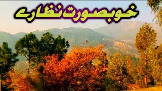 Beauty Of Mansehra || Short Trip || Mansehra To Oghi || #pakistanapnadais