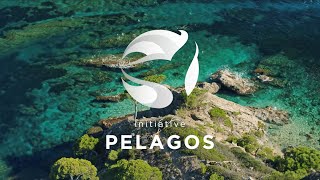 The Pelagos Initiative