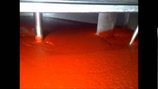 Tomato Paste Mixing - Dilution