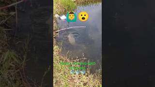 Big Size Fish Catchup And Fish Release Video 🙆‍♂️😮 #fish #fishin #fishrelease #viralvideo