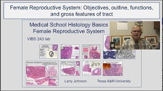 Female Reproductive System- Objectives, outline, functions, and gross features of tract