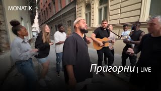 Monatik - Пригорни