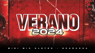 BUSCANDO MONEY - MIX VERANO 2024 ( ALETEO - GUARACHA ) DJ LLEISI