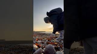 Seaweed collecting