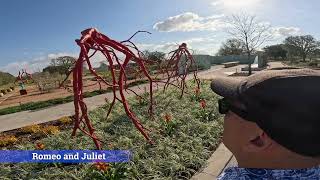 Exploring Steve Tobin’s "Intertwined" at Houston Botanic Garden! February 2023