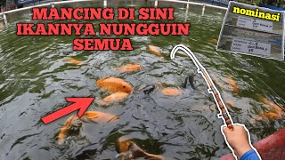 MANCING DISINI IKANNYA NUNGGUIN SEMUA!! BAWA PULANG JUARA!! KOLAM PEMANCINGAN LUCKY NAGA PONOROGO