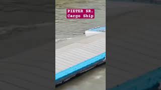 PIETER SR. Cargo Ship | Spotted Germany 🛟⚓️ #marinoph #subscribe