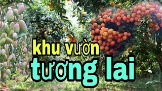 Hàng Cây ĂN TRÁI Đã Đang Dần MỌC LÊN...Mỹ Mãn..