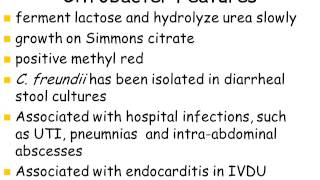 Part 7 Enterobacteriaceae 1