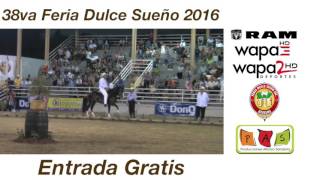 FERIA DULCE SUEÑO GUAYAMA 2016