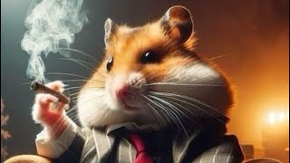 Hamster Kombat claim /  Withdrawal on Binance complete Procedure