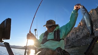 .Lake Mead, Titan 10.5. Echo Bay launch report: Very cold! got a few and lost a crappie at the kayak