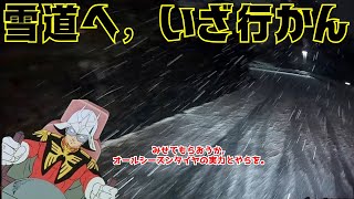 【実走レビュー】みせてもらおうか，オールシーズンタイヤの実力とやらを【GOODYEAR VECTOR FOUR SEASONS HYBRID】