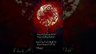 #urduclassicalpoetry #parveenshakir